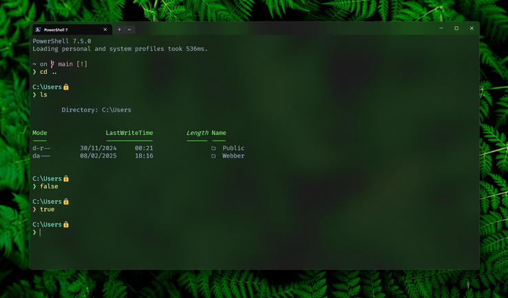 Screenshot of Windows Terminal after Starship has been installed