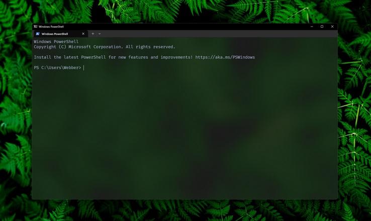 Screenshot of Windows Terminal after a fresh installation